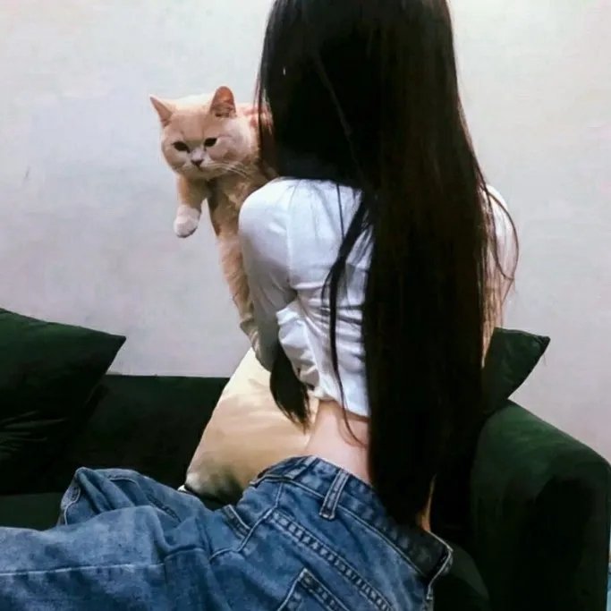 春满兰宫